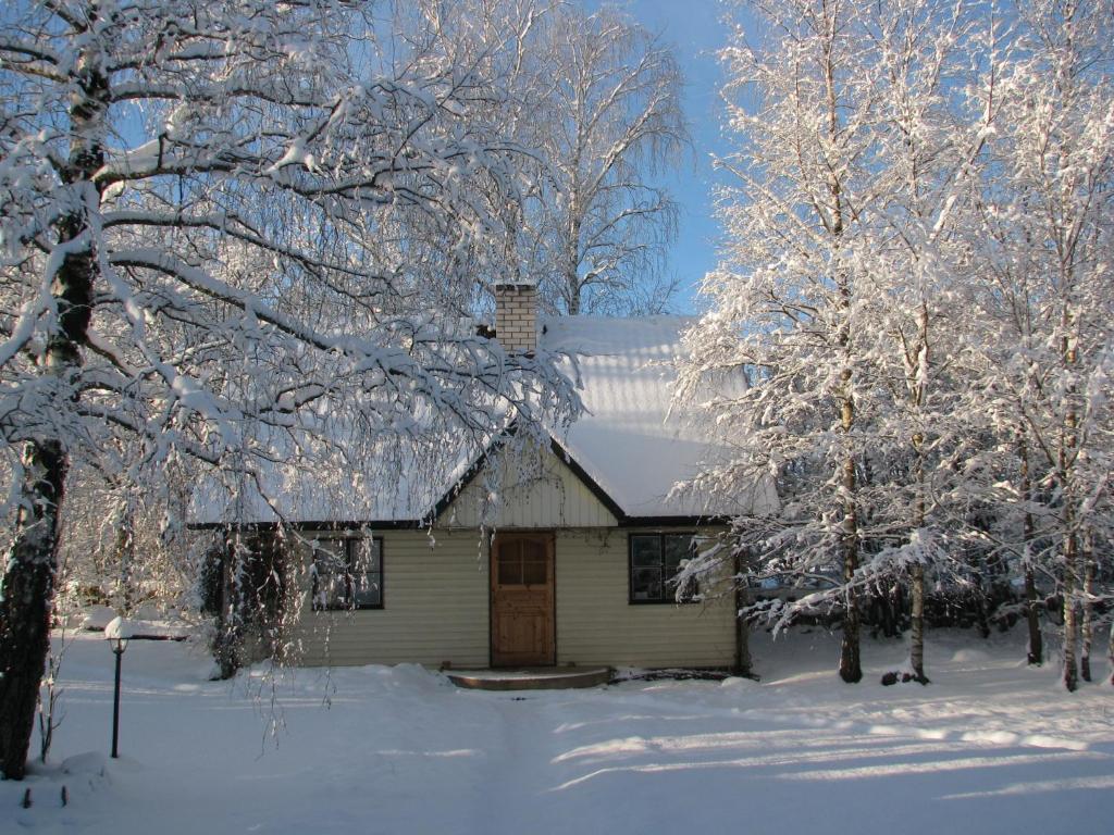 Tonise Holiday Houses Lilbi  Экстерьер фото